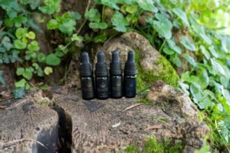 Wie man CBD-Öl für guten Schlaf verwendet: Der definitive Leitfaden