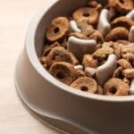 wolfsblut hundefutter rückruf