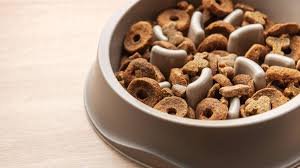 wolfsblut hundefutter rückruf