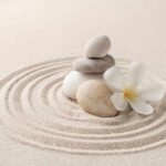 Preis vs. Qualität: Die beste Kosmetikliege für Ihr Budget finden