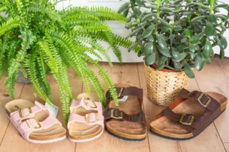 Pantoletten-Guide 2026