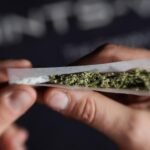 Zwischen Aufklärung und Verbot: Die Debatte um legale THC-Alternativen