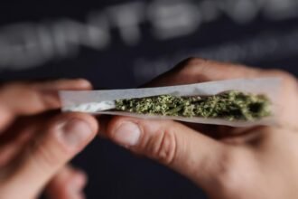 Zwischen Aufklärung und Verbot: Die Debatte um legale THC-Alternativen